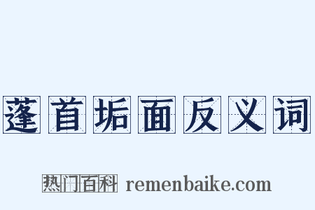 蓬首垢面反义词是什么意思的图片
